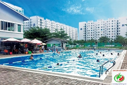 View Hồ bơi Phú Lâm quận 6